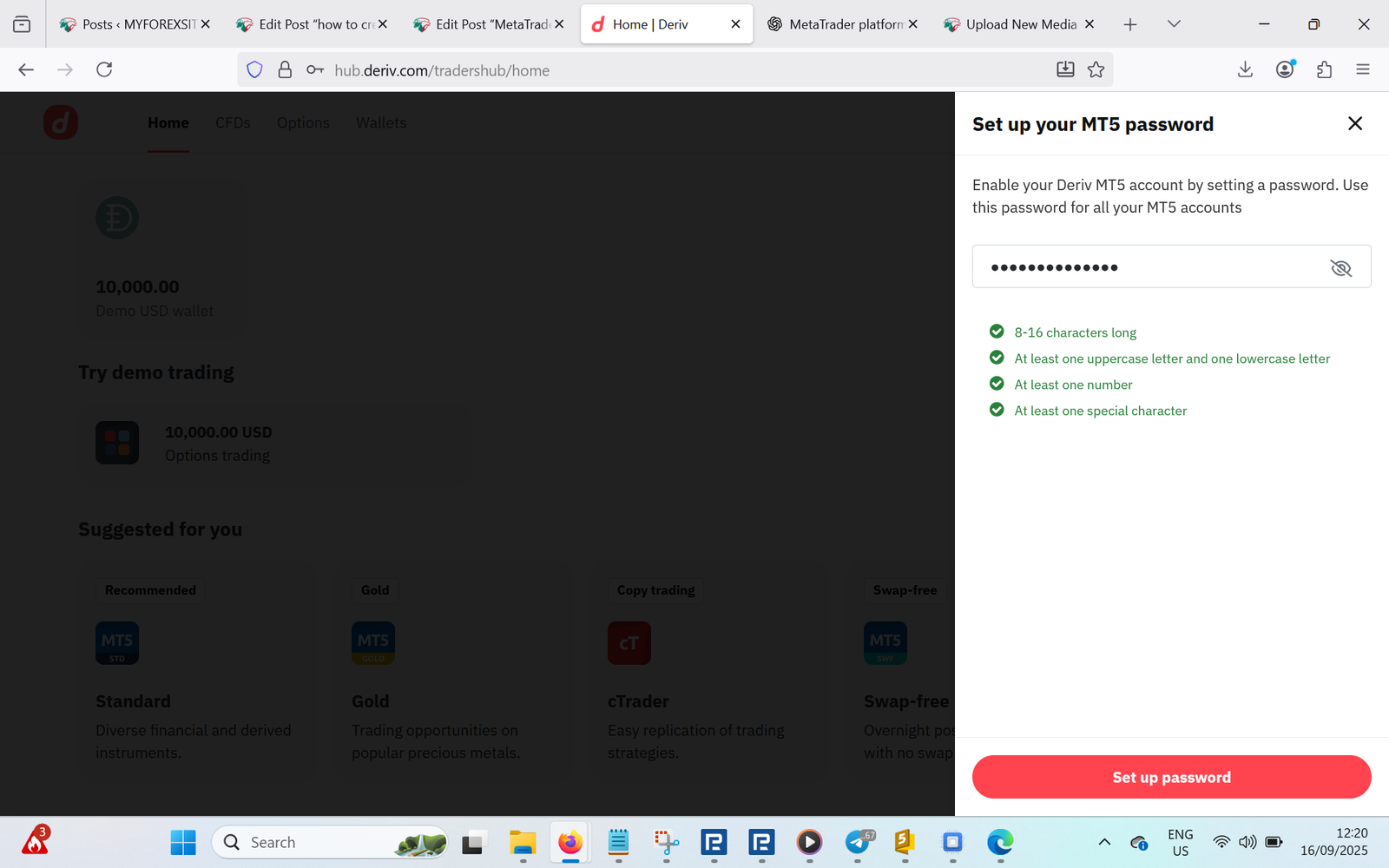 Deriv MT5 Standard — create a password and click the red Set up password button